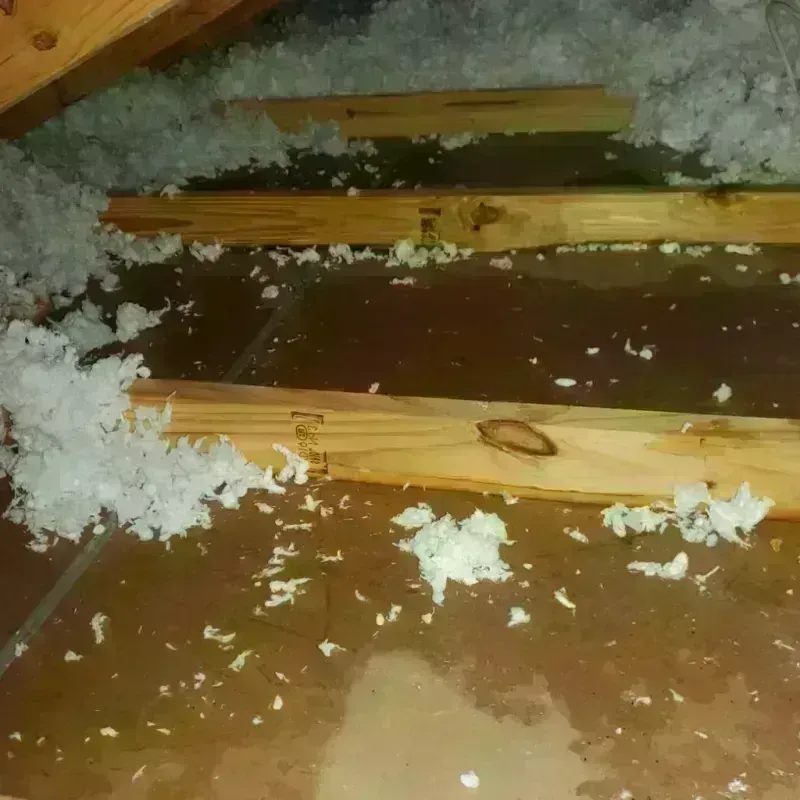 Attic Water Damage in Huron County, MI