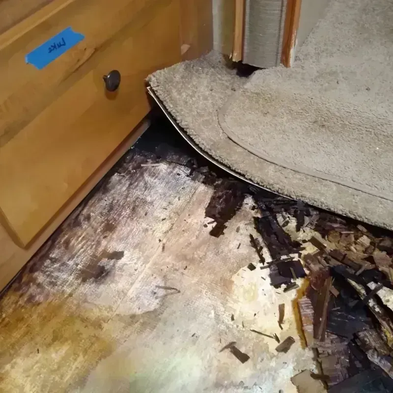 Wood Floor Water Damage in Huron County, MI